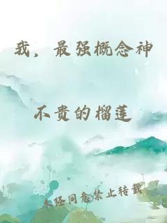 我，最强概念神