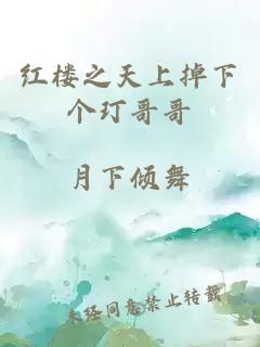 红楼之天上掉下个玎哥哥