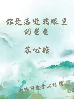 你是落进我眼里的星星