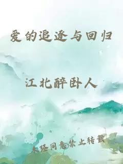 爱的追逐与回归